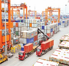 Cảnh báo DN xuất nhập khẩu Việt Nam không giao dịch với 2 công ty Tây Ban Nha